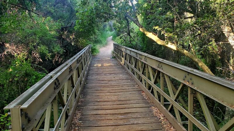 Viewridge Trail in the Santa Monica Mountains - Topanga, CA