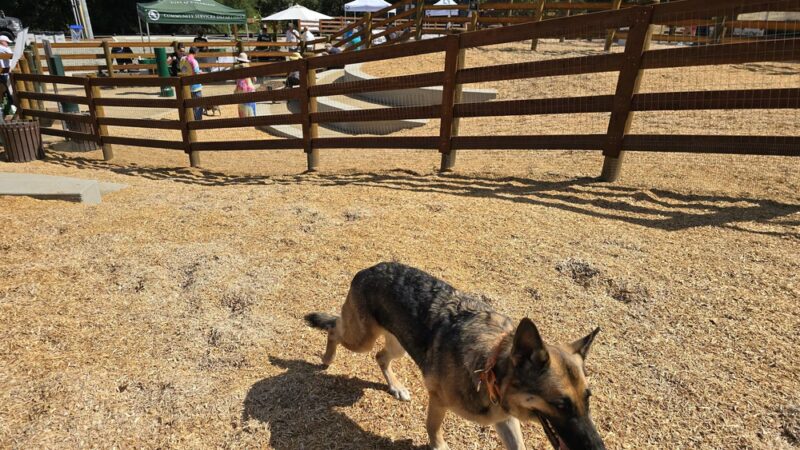 Wild Walnut Park - Topanga, CA