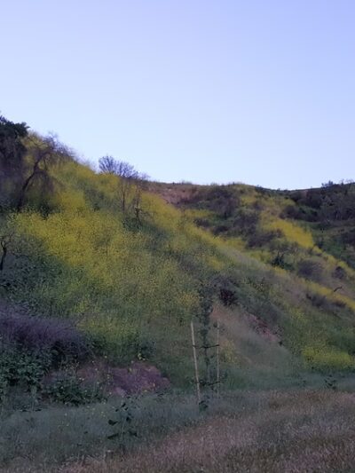 Wild Walnut Park - Topanga, CA