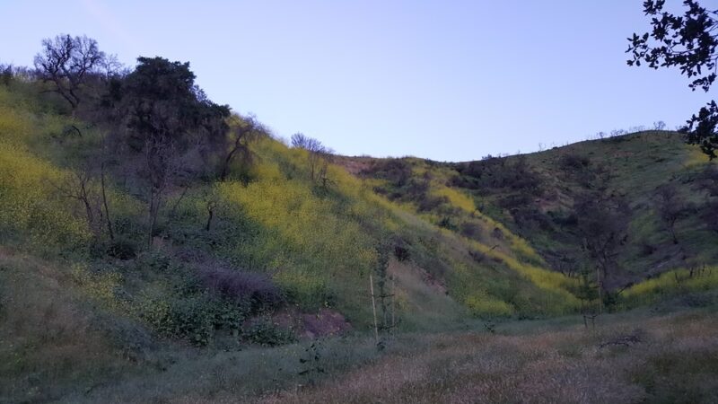 Wild Walnut Park - Topanga, CA