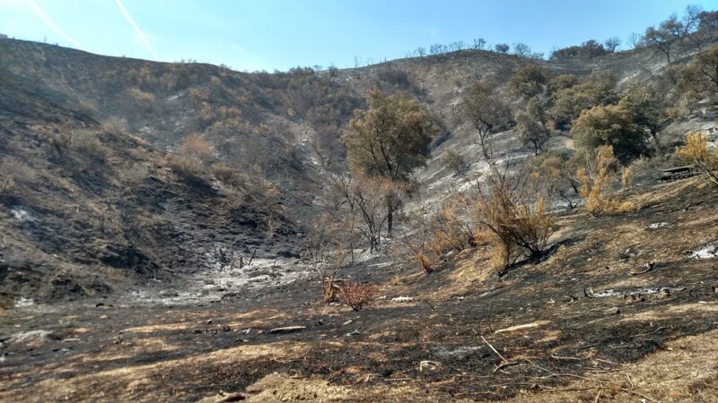 Wild Walnut Park - Topanga, CA