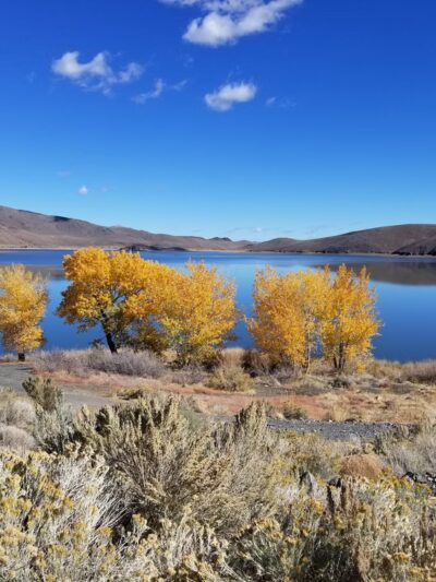Topaz Lake RV Park - Topaz, CA