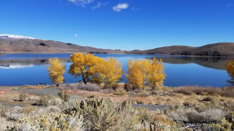 Topaz Lake RV Park - Topaz, CA