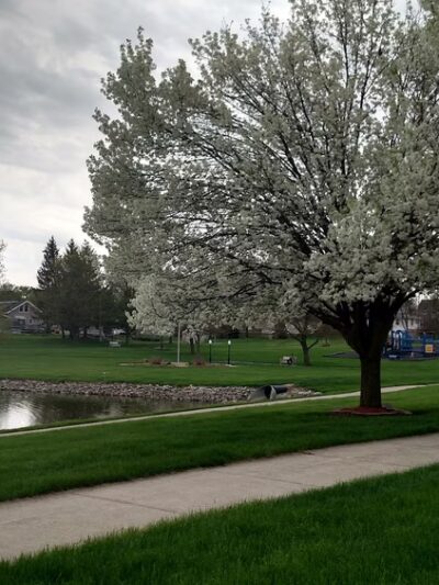 West Lake Park - Topeka, IN
