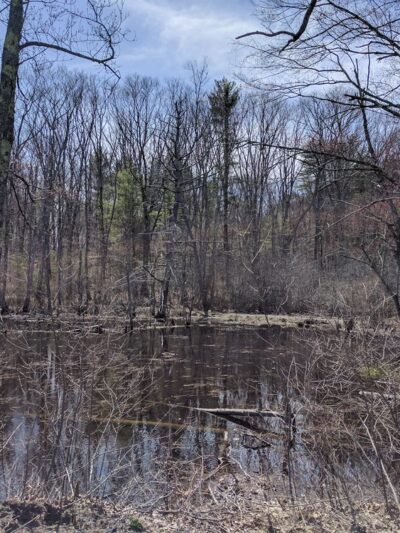 Klock Park - Topsfield, MA