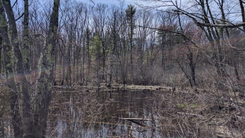 Klock Park - Topsfield, MA