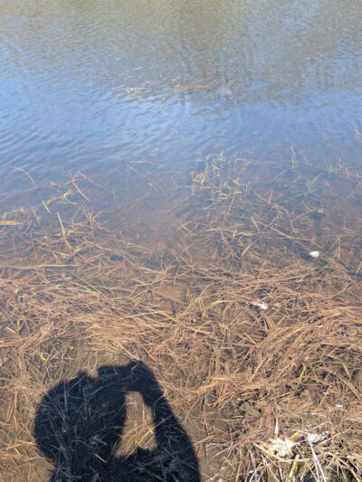 Klock Park - Topsfield, MA