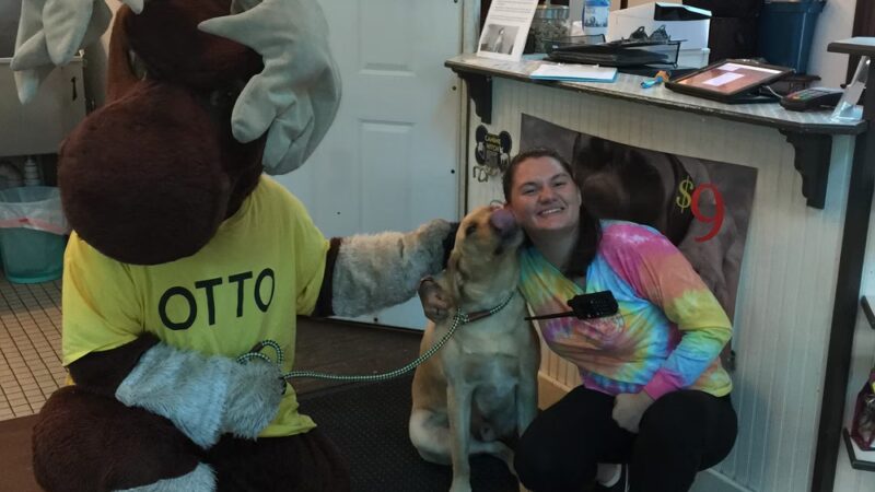 Happy Paws @ Unleashed - Topsham, ME