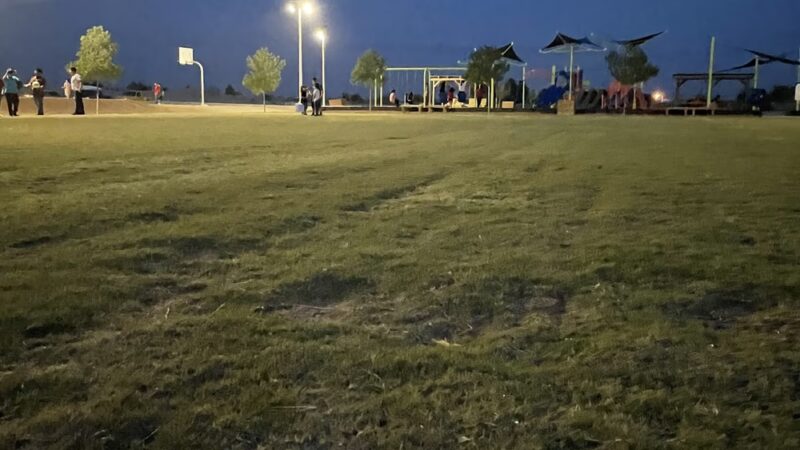 Coyote Park - Tornillo, TX