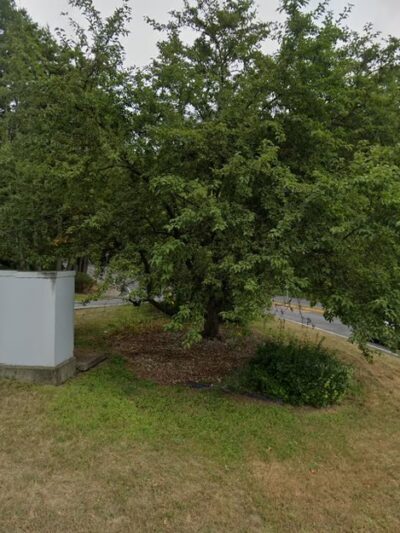 Grier Park - Torrington, CT