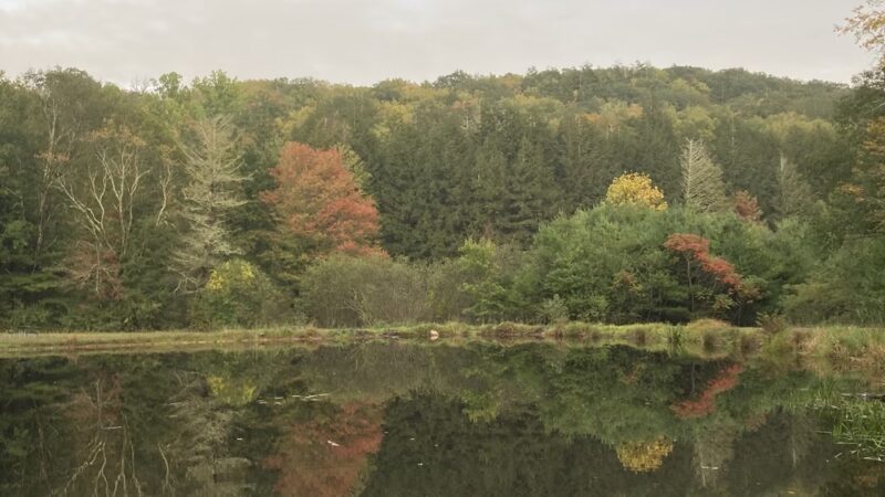 John A Minetto State Park - Torrington, CT