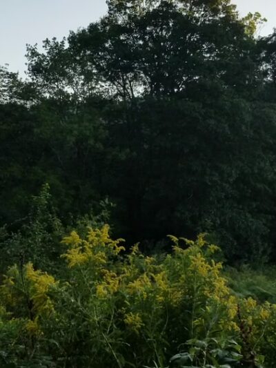 John A Minetto State Park - Torrington, CT