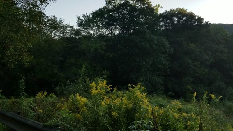 John A Minetto State Park - Torrington, CT