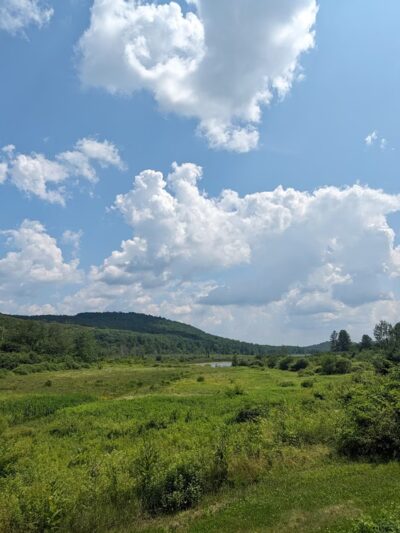 John A Minetto State Park - Torrington, CT