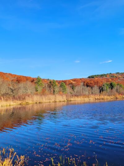 John A Minetto State Park - Torrington, CT