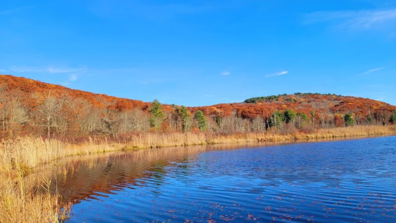 John A Minetto State Park - Torrington, CT