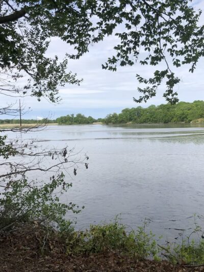 Blackbird Creek Reserve - Townsend, DE