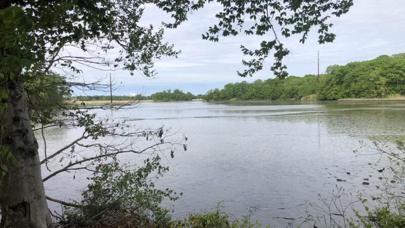 Blackbird Creek Reserve - Townsend, DE