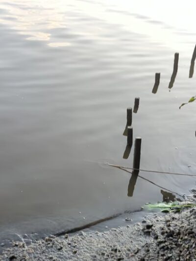 Blackbird Creek Reserve - Townsend, DE