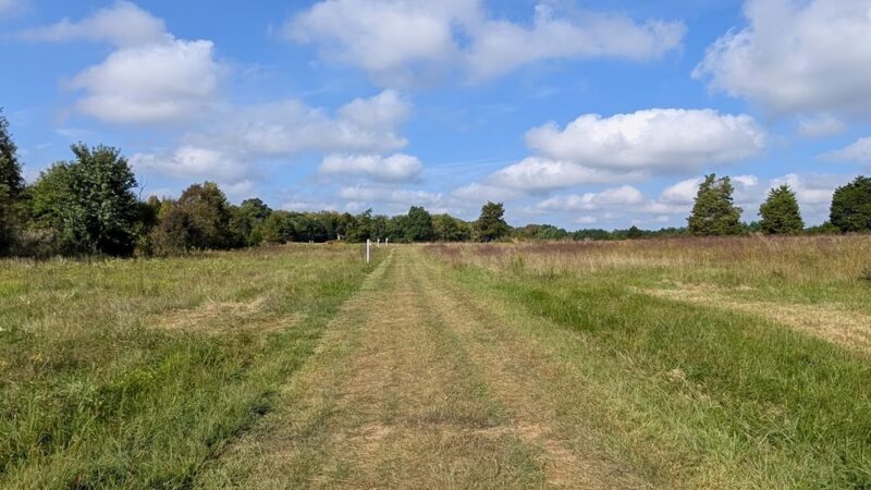 Blackbird Creek Reserve - Townsend, DE