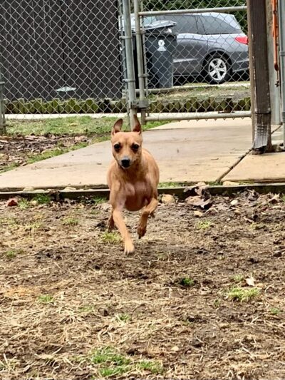 Square Dog Ranch - Townsend, DE