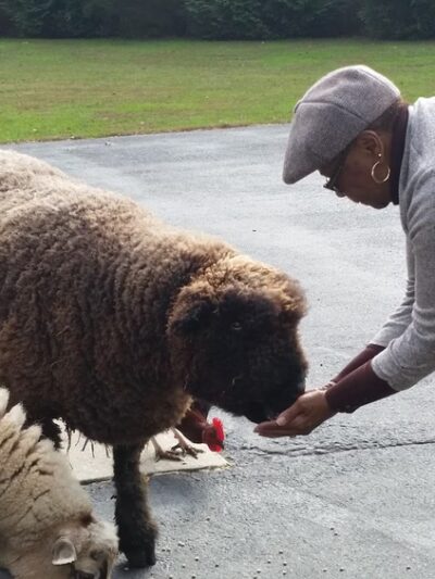 Square Dog Ranch - Townsend, DE