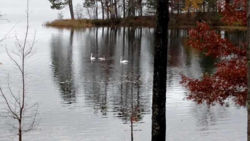 Oughton Park - Townsend, WI