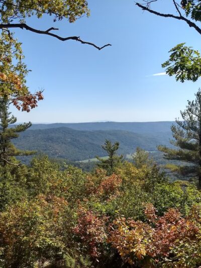 Townshend State Forest - Townshend, VT