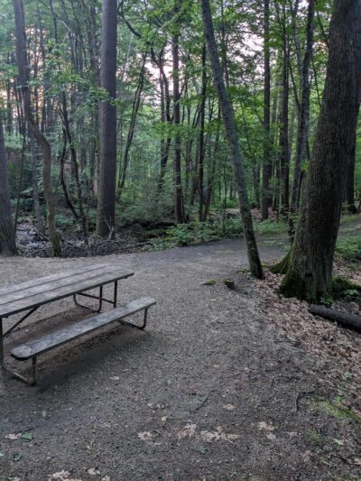 Townshend State Forest - Townshend, VT