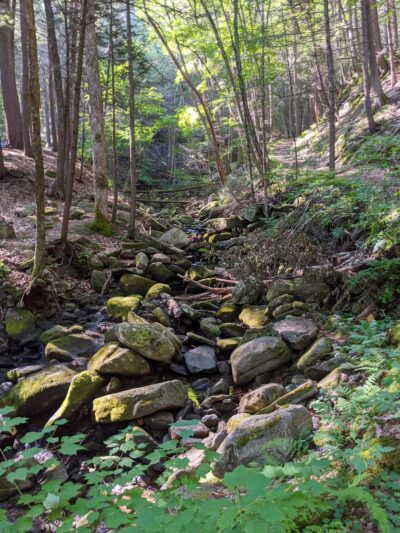 Townshend State Forest - Townshend, VT