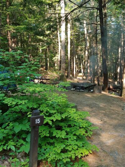 Townshend State Forest - Townshend, VT