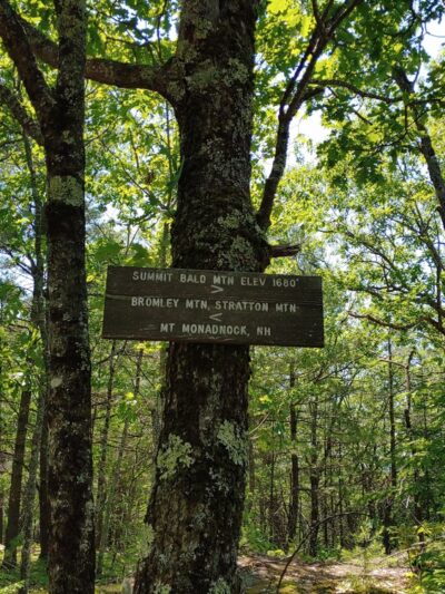 Townshend State Forest - Townshend, VT
