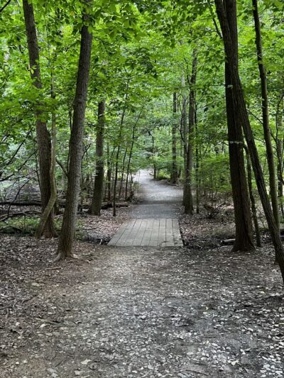 Greenspring Branch - Roland Lake - Towson, MD