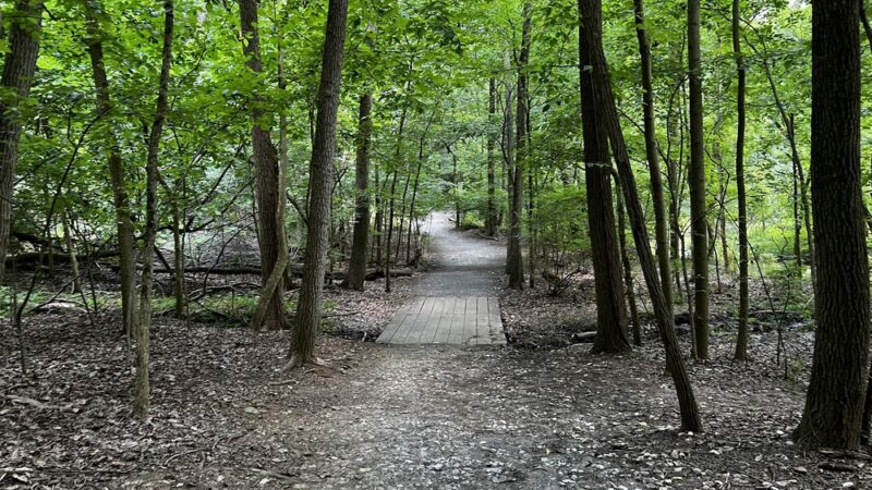 Greenspring Branch - Roland Lake - Towson, MD