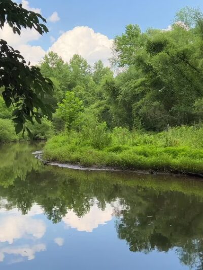 Greenspring Branch - Roland Lake - Towson, MD