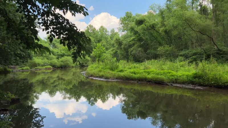 Greenspring Branch - Roland Lake - Towson, MD