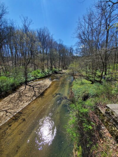 Greenspring Branch - Roland Lake - Towson, MD