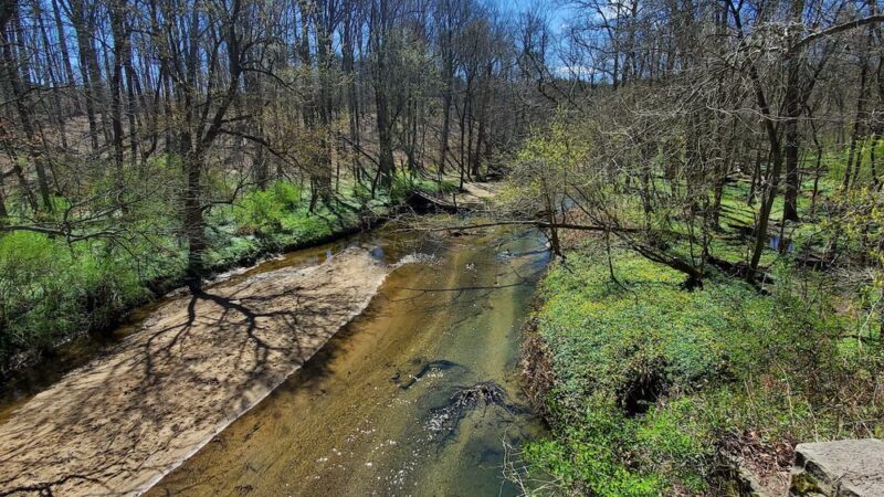Greenspring Branch - Roland Lake - Towson, MD