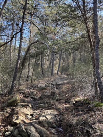 Greenspring Branch - Roland Lake - Towson, MD