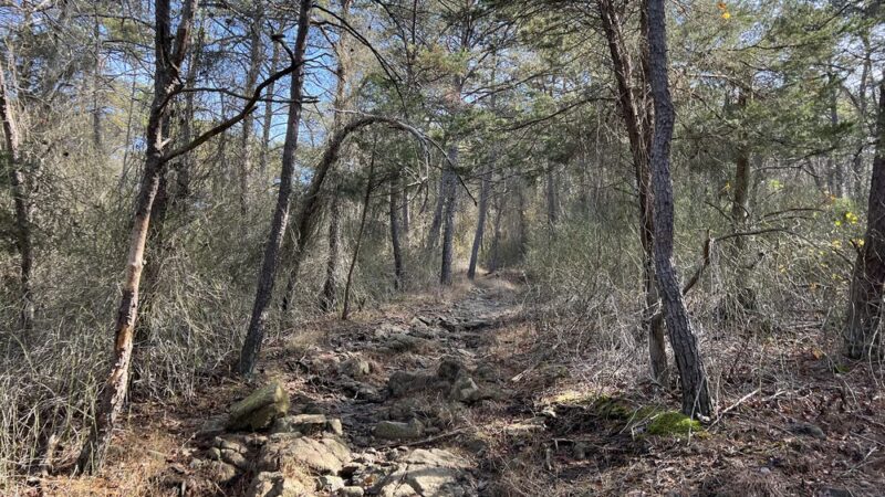 Greenspring Branch - Roland Lake - Towson, MD