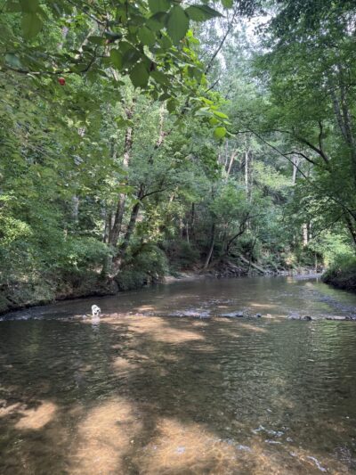 Greenspring Branch - Roland Lake - Towson, MD
