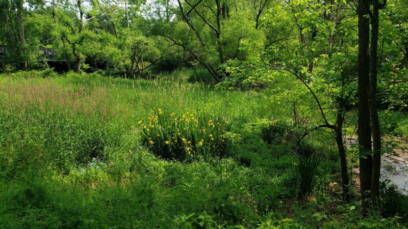 Lake Roland Park - Blue Trailhead - Towson, MD