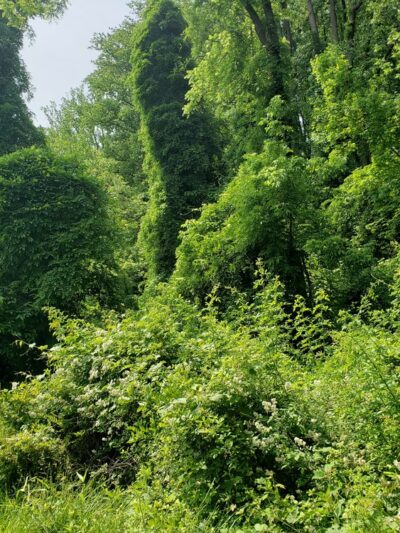 Lake Roland Park - Blue Trailhead - Towson, MD