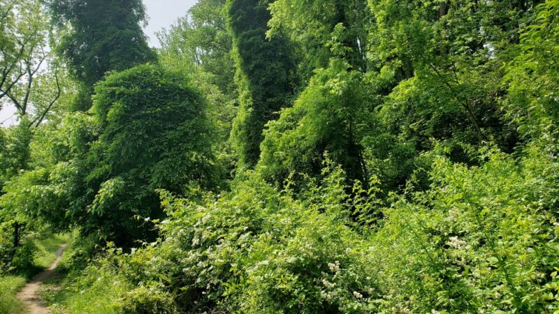 Lake Roland Park - Blue Trailhead - Towson, MD