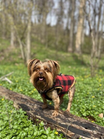 Lake Roland Park - Blue Trailhead - Towson, MD