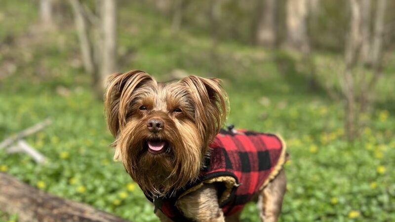 Lake Roland Park - Blue Trailhead - Towson, MD