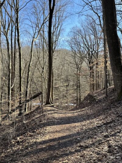 Loch Raven Trails Providence Rd. - Towson, MD