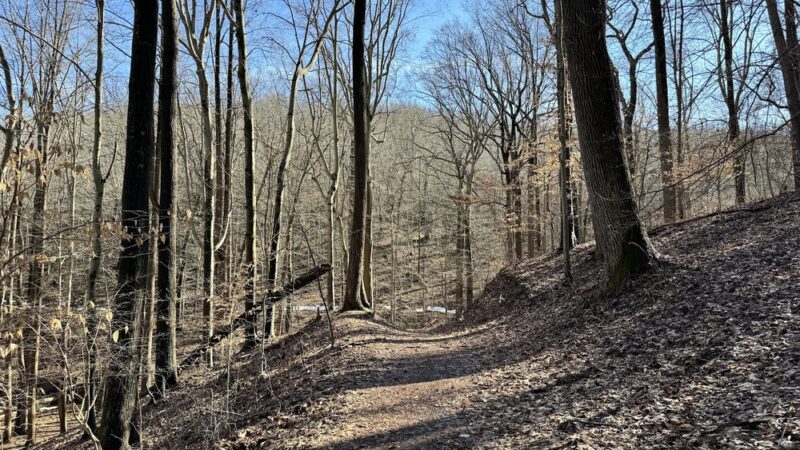 Loch Raven Trails Providence Rd. - Towson, MD
