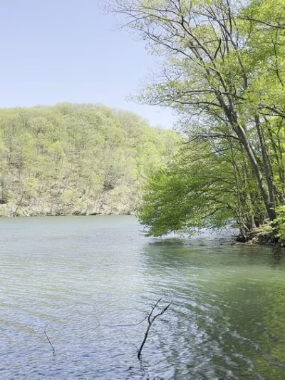 Loch Raven Trails Providence Rd. - Towson, MD