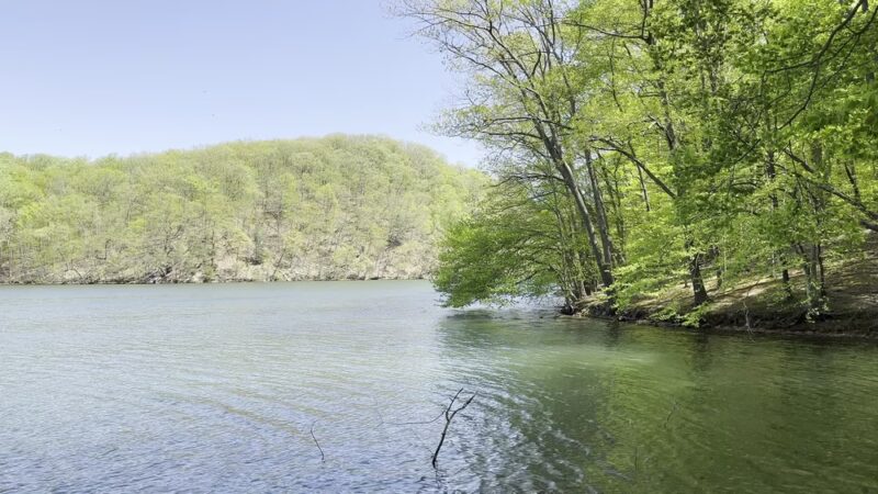 Loch Raven Trails Providence Rd. - Towson, MD